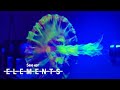 Understanding Turbulence and Vortex Interactions