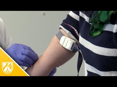 Video: Einfluss Des Krankenversicherungsstatus Von Migranten Aus Afrika Südlich Der Sahara Auf Den Zugang Zu Gesundheitsversorgung Und HIV-Tests In Deutschland: Eine Partizipative Quersch