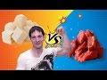 肉より豆腐が筋肉をつける？タンパク質のホント・嘘