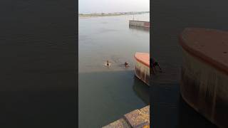 Bijnor Ganga bairaj jalster #shorts #youtubeshorts #bijnor