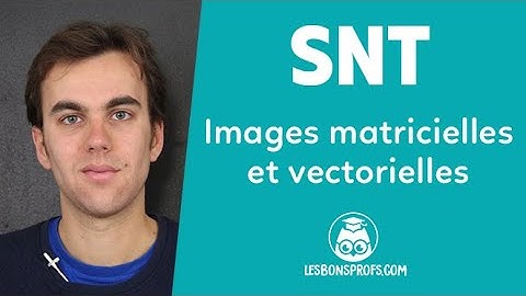 Images matricielles et vectorielles - SNT - Seconde - Les Bons Profs