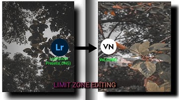 Convert Lightroom Presets (.Dng) Into Luts (.cube) On Mobile | LIMIT ZONE EDITING