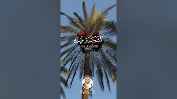 "يثبت الله الذين آمنوا بالقول الثابت في الحياة الدنيا وفي الآخرة" سورة إبراهيم #عبدالولي_الاركاني