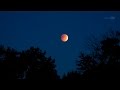 Total Eclipse of the Harvest Moon Quiz