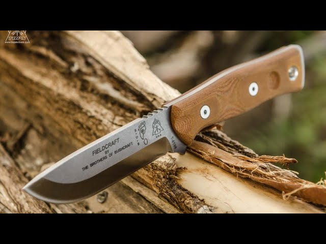 COOLINA Lixy Cleaver Knife, 8.7-in Hand-forged High Manganese Clad Steel,  Full Tang Butcher Knife, Kitchen Chef Knives for Camping, Outdoor Cooking