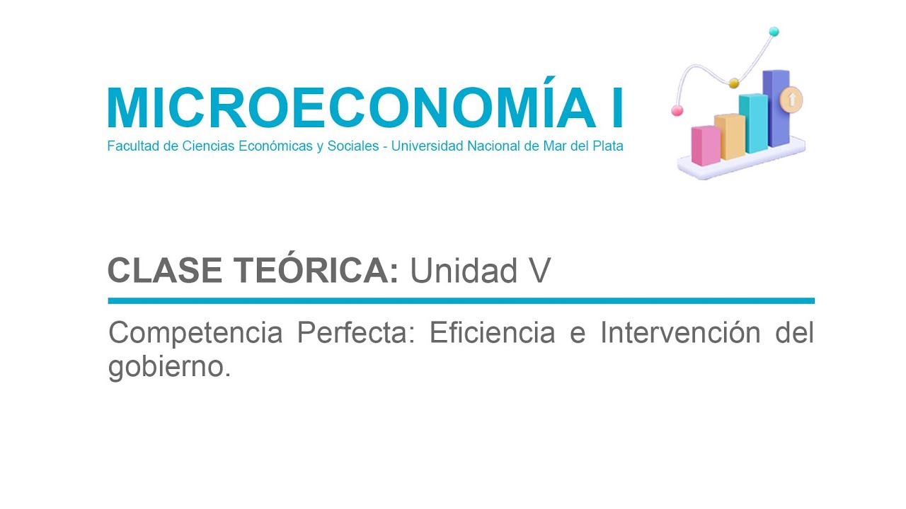 Competencia Perfecta: Eficiencia e Intervención del gobierno