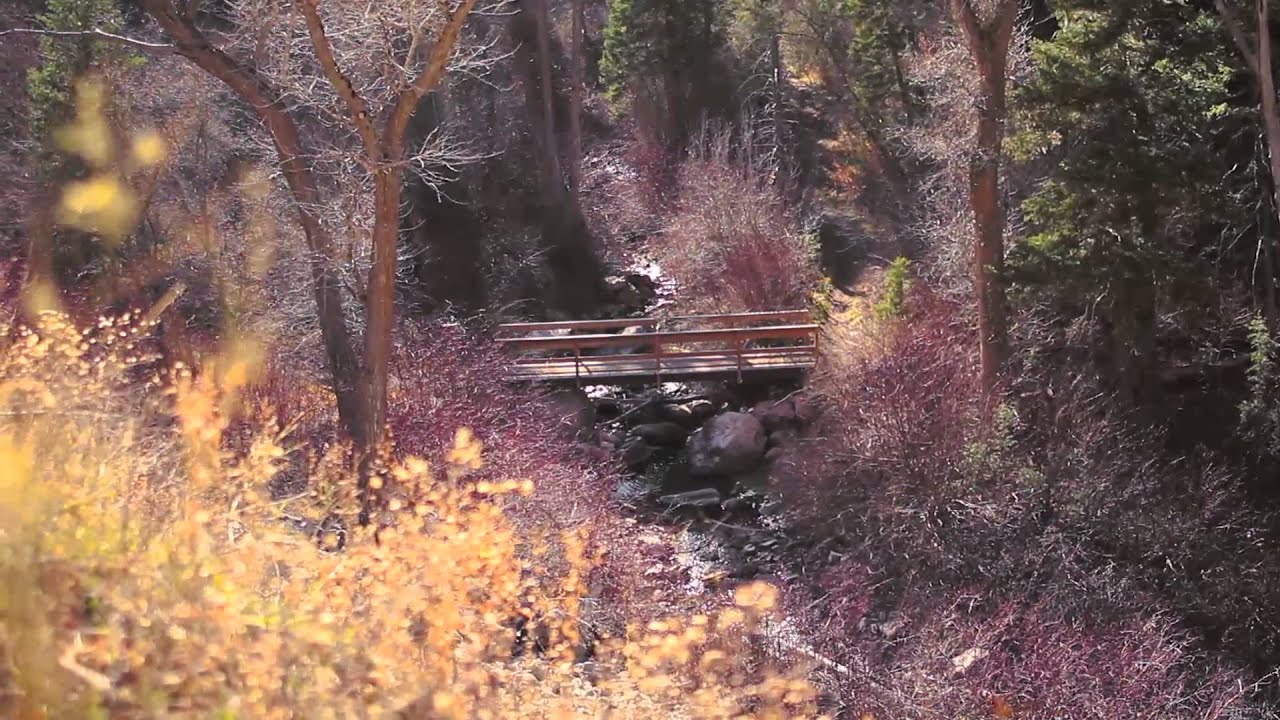 Built For Every Adventure - 2015 CXGR