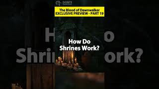 How Do Shrines Work? | The Blood Of Dawnwalker Is AMAZING!!