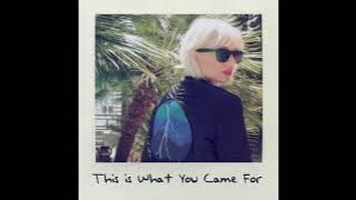 Taylor Swift - This Is What You Came For (Final Instrumental)