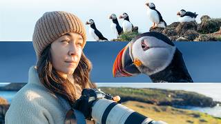 Chasing Puffins Across Newfoundland, Canada