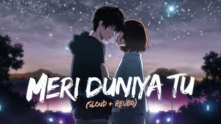 Meri Duniya Tu Ft. Fardeen Gasur Official Music Video