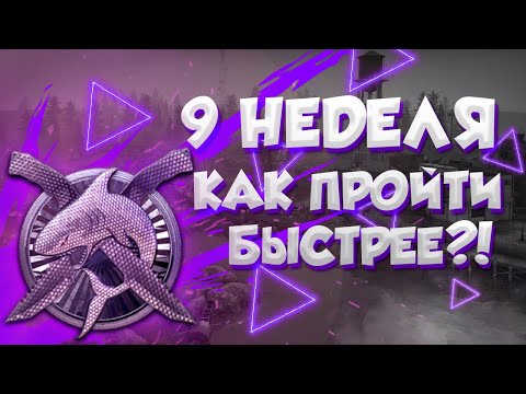 Видео: Как се пече шарлота от бял хляб с круши и портокали