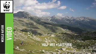 Download Lagu Outdoorliefhebbers houden van de wildernis van Pirin National Park MP3 Download Lagu Outdoorliefhebbers houden van de wildernis van Pirin National Park MP3