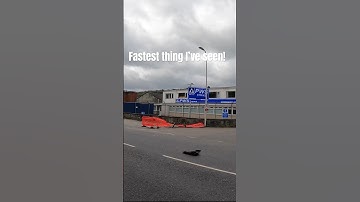 Crazy Dual motor  rc Speedrun  #arrma #automobile #crazy #crash #fire