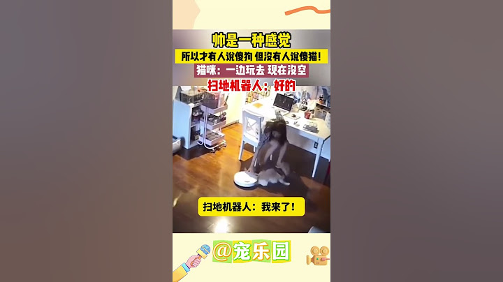 帅是一种盛觉 所以才有人说傻狗 但没有人说傻猫！猫咪：一边玩去 现在没空 扫地机器人：好的 #宠乐园 #轻松一刻 #动物