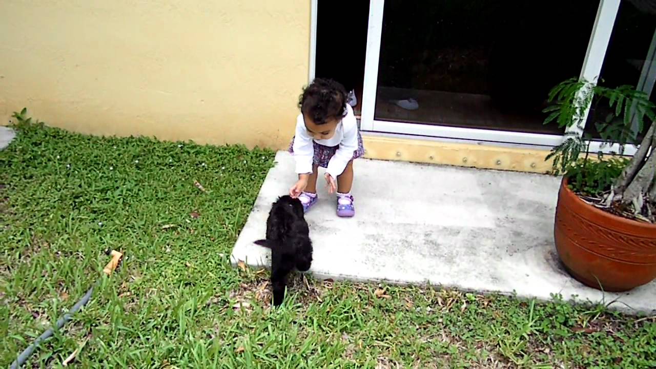 SAM 0584 - YouTube