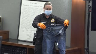 Telles Murder Trial Day 4: Crime scene analyst explains Robert Telles warrant