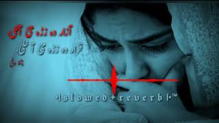 niaza aqbal song || Azar da zra me akhly Der Zorawar Dey Janan|| slowed and reverb song||#song