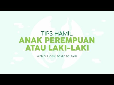 Video: Program Anak-anak Apa Yang Populer Sebelumnya