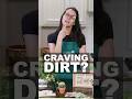 Why Do People Crave Dirt for Dinner? | Serving Up Science