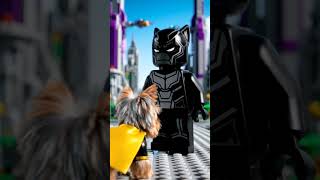 Super Yorkie in Wakanda Legoland #marvel #avengers