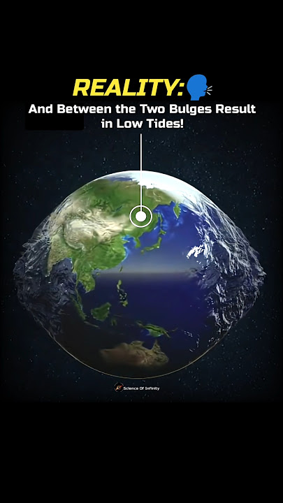 Are High Tides And Low Tides Just Normal Phenomena? 🌊🌍 #shorts #tides #moon #sciencefacts