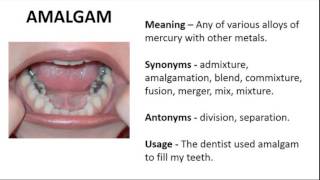 Vocabulary Made Easy  Meaning of Amalgam, Synonyms, Antonyms and its Usage