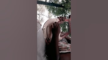 How I tuned my lyre harp #lyre #harp #tune