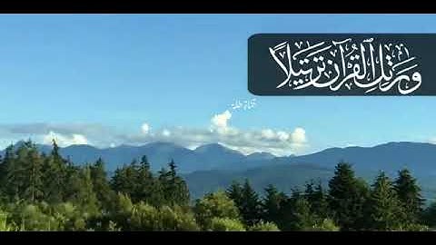 تلاوة رائعة ( إنما المؤمنون إخوة )