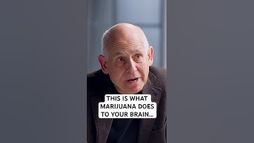 Brain Doctor reveals how bad marijuana is for your brain... 🧠😳