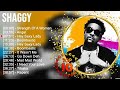 Shaggy Greatest Hits ~ Best Songs Of 80s 90s Old Music Hits Collection