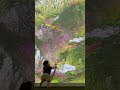나비를 찾아 떠나는 주안이 (feat. 청와대) #아기 #나비 #청와대