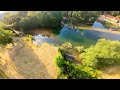 Dji fpv quand les renards  guettent ton freestyle 4k60fps dcinelike