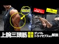 肘が痛い人はこれで腕をデカくせよ！元フィジーク日本一が教える極意解説ダンベルトライセプスエクステンション