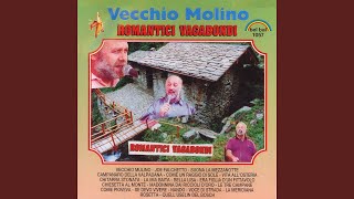 Video thumbnail of "Romantici Vagabondi - Come pioveva"