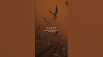 آيه 12 من سورة يونس بصوت الشيخ عبدالرحمن مسعد
