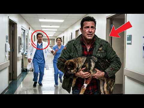 Former SEAL Rushes a Bleeding K9 to the Hospital — Then Doctors Find a Clue