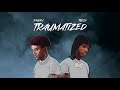 Phora - Traumatized (ft. Toosii) [visualizer]