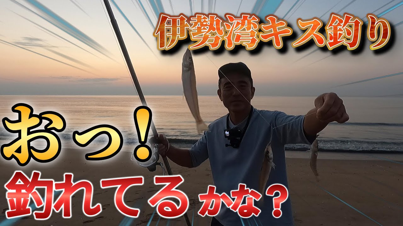 不調のキスですが、久しぶりにちょっと釣れたかな？