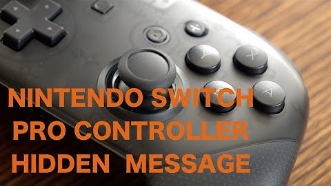 Nintendo Switch Pro Controller Hidden Message!
