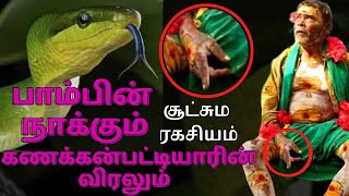 பமபன நககம, கணககனபடடயரன க வரலகளமKanakkanpatti Siddhar Mootai Swamygal