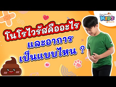 โนโรไวรัสคืออะไร และอาการเป็นแบบไหน ?