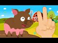 Hide and Seek with Farm Animals | Learn Numbers &amp; Words | Play for Kids ★ TidiKids