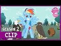 The Competition (May the Best Pet Win!) | MLP: FiM [HD]