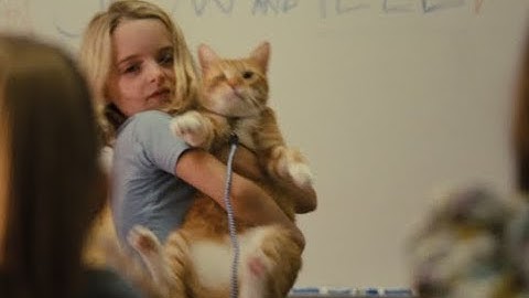 大切なのは愛する才能／映画『gifted／ギフテッド』予告編