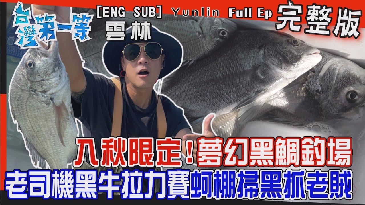[全新] Yunlin【入秋限定！老司機『夢幻黑鯛釣場』蚵棚掃黑抓老賊