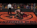 Bushido Pro