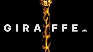 Giraffe - Edit (Africa)