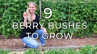 9 Types of Berry Bushes to grow in your Garden screenshot 2