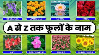 फूलों के नाम | Flowers Name With Pictures |  A to Z Flowers names in English with Images #flowers